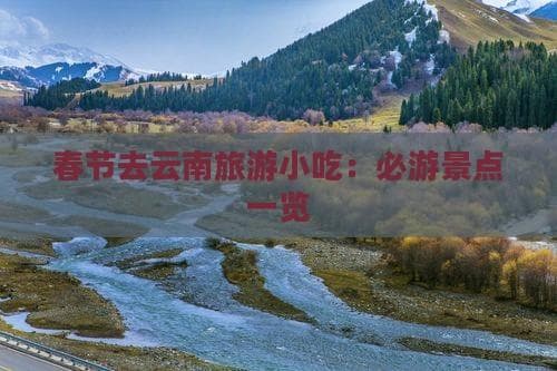 春节云南游：石林、古城、洱海、雨林四大景点全攻略