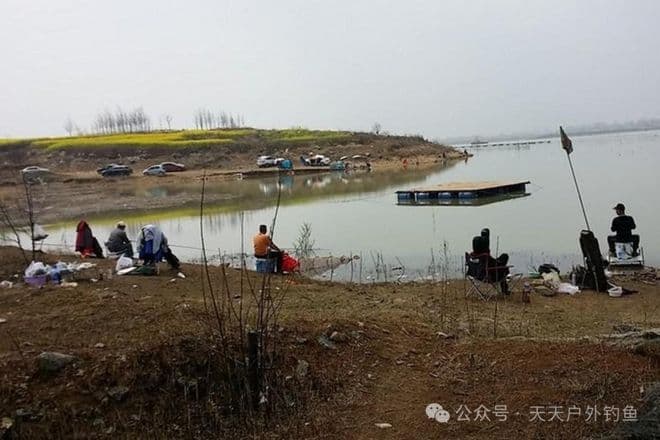 春季野钓大鲤鱼，最高效民间钓法，比守钓更靠谱