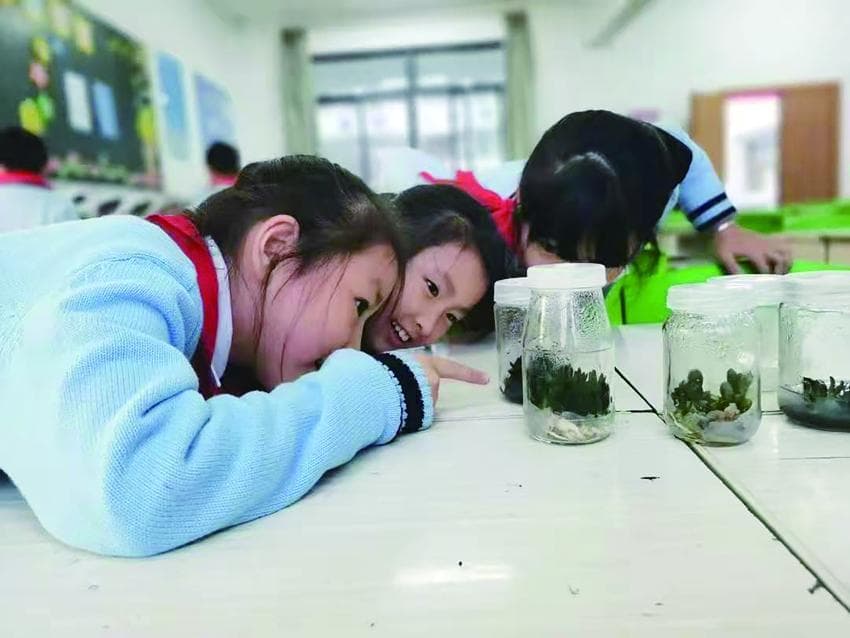 “科劳一体”综合课程助力学生全面发展