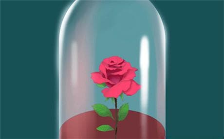 夫妻冷静后如何沟通感情