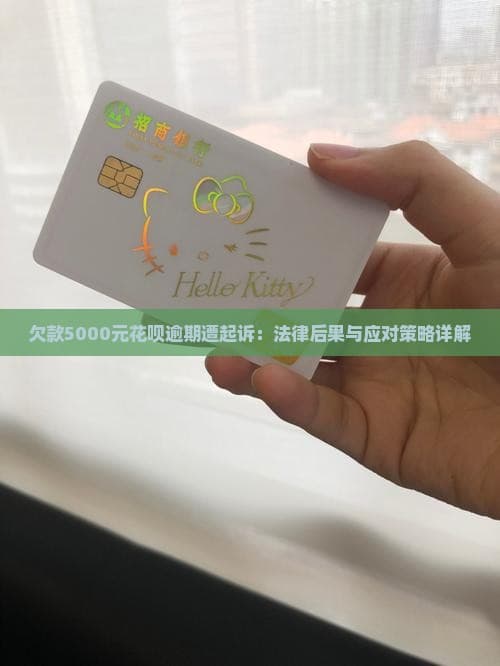 花呗欠款5000元逾期被起诉怎么办？法律专家为你解答