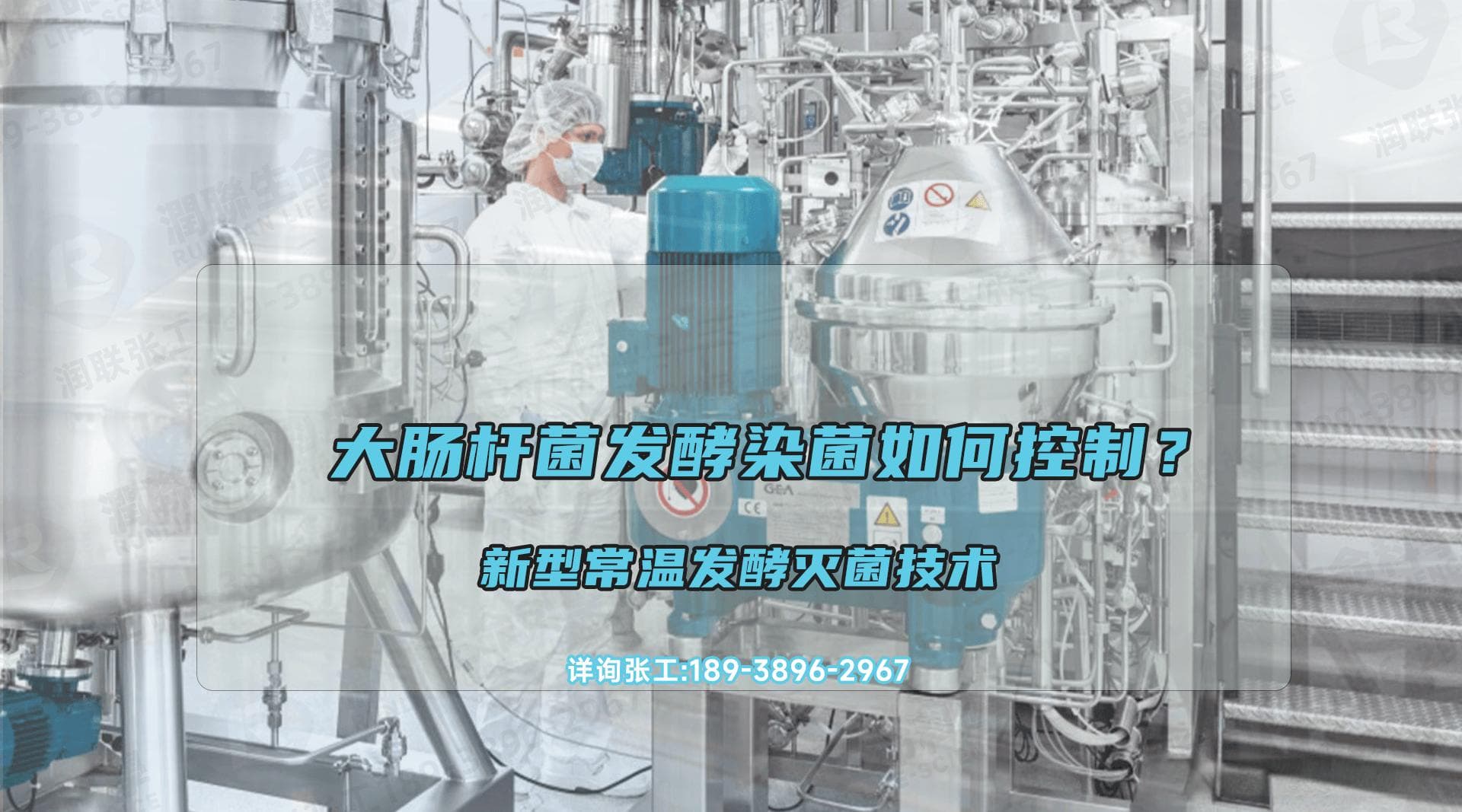 大肠杆菌发酵过程中的关键控制因素