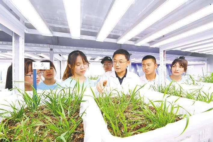 “一键淘宝”供需对接 湖北科创供应链半年“撮合”襄阳372个项目