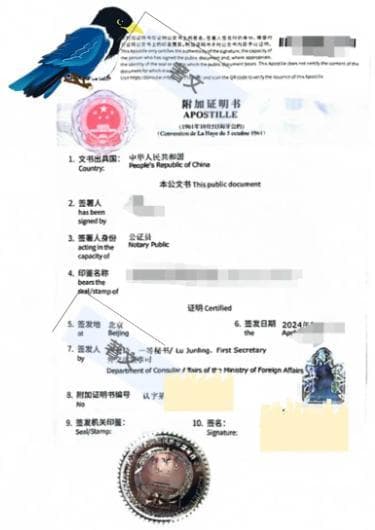 派出所&公证处：亲子证明办理全攻略