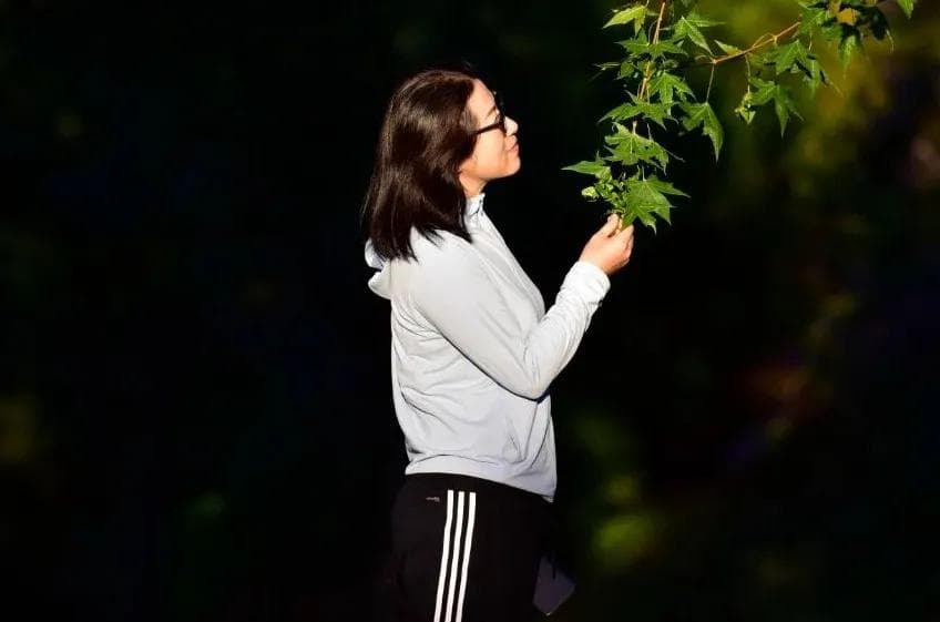 洗发水不要盲目买！医生手把手教你挑选洗发水！