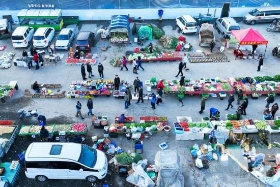 逛不够的长春东岭南街早市