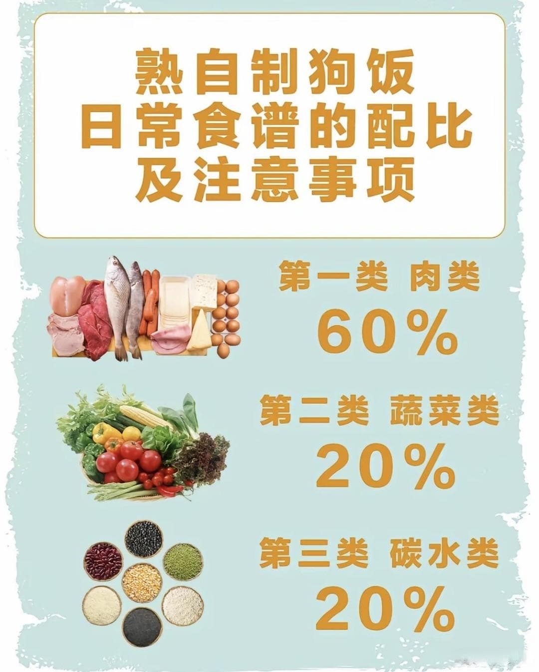 自制狗粮日常食谱的配比及注意事项