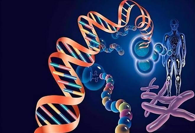 专家教授敢拍胸脯说：符合标准的转基因添加剂对人体无害