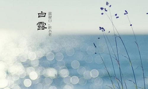 白露节气的寓意和传统 白露物候特点
