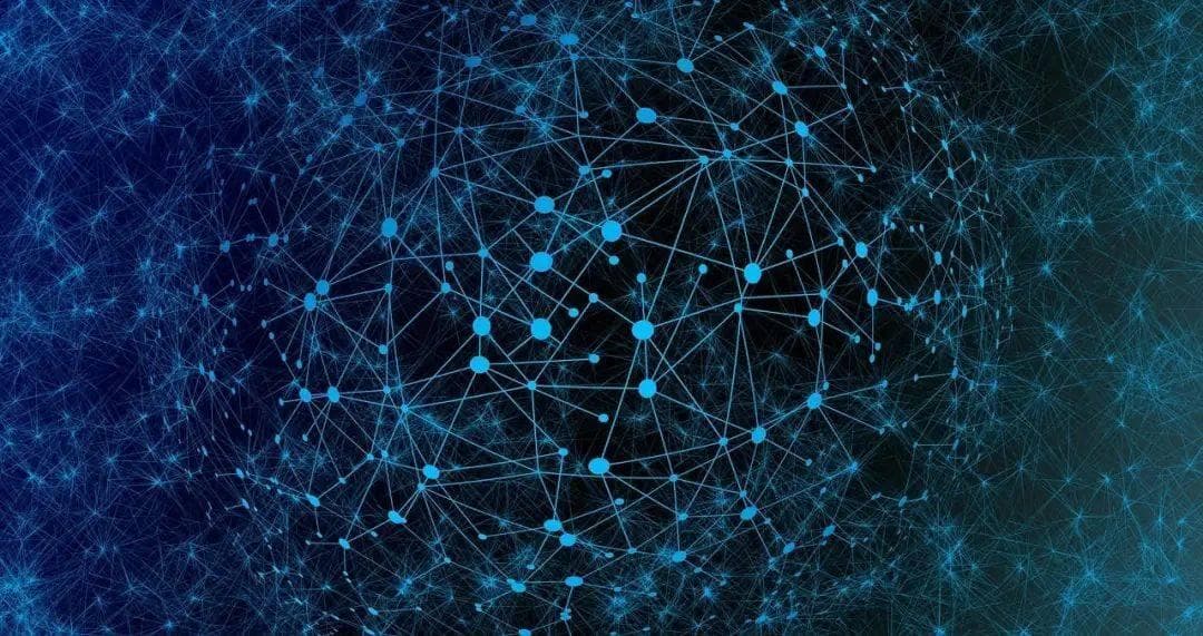 「聪明」背后的科学：脑袋大小真能决定聪明程度吗？