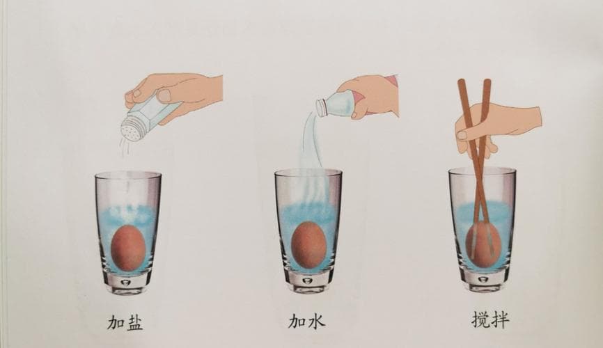 鸡蛋放水里浮起来是怎么回事？盐水浮鸡蛋实验原理详解！