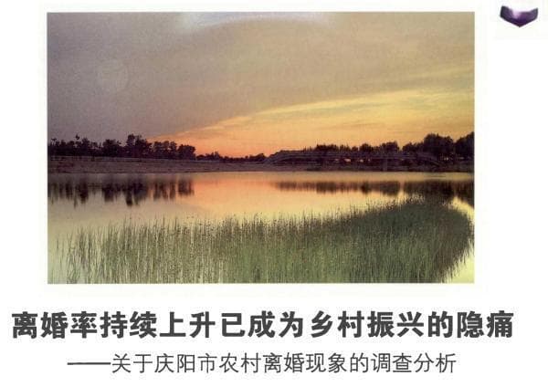多地农村地区离婚率上升引关注，机构和学者分析原因提出对策