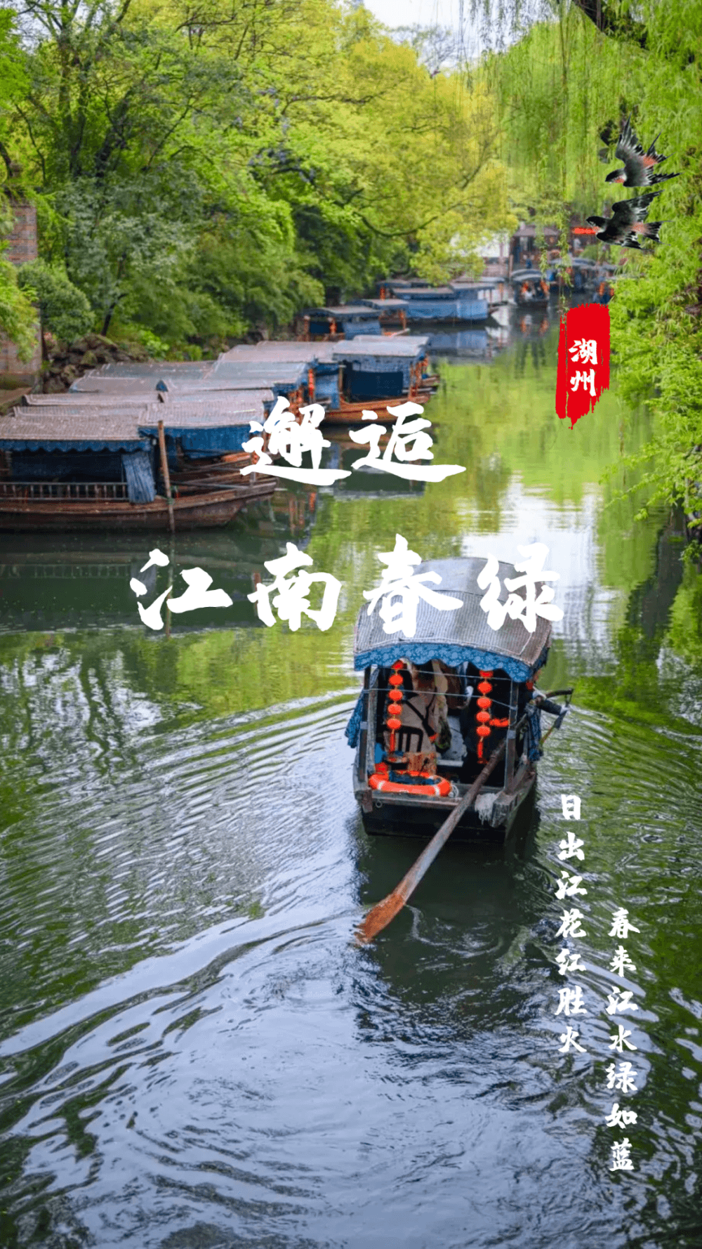 探寻春日秘境：快来这里赏花雨，闻茶香！