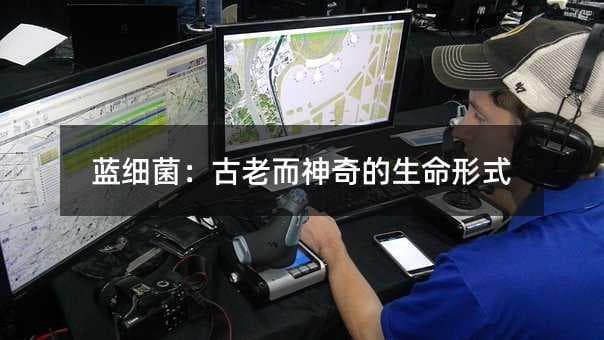 蓝细菌：古老而神奇的生命形式