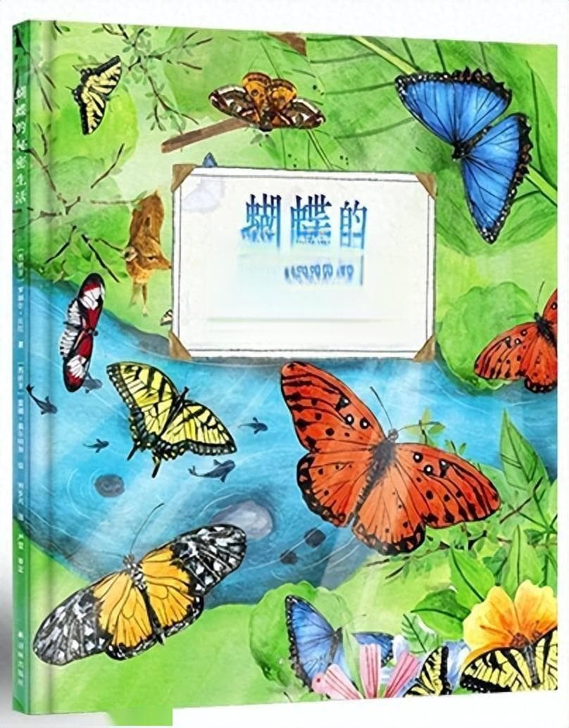 从蝴蝶开始，探索奇妙大自然