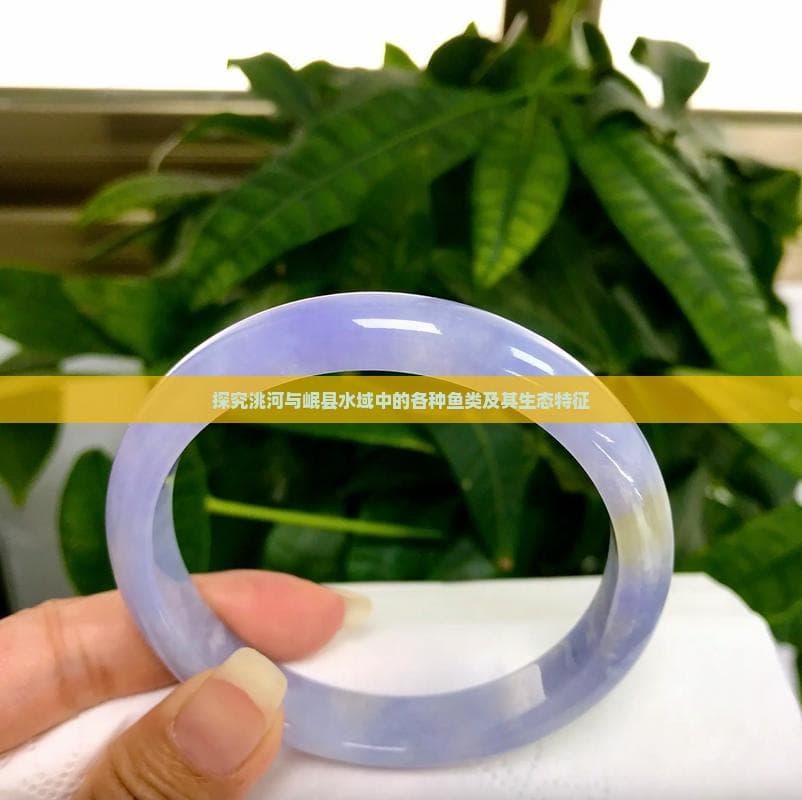 探究洮河与岷县水域中的各种鱼类及其生态特征