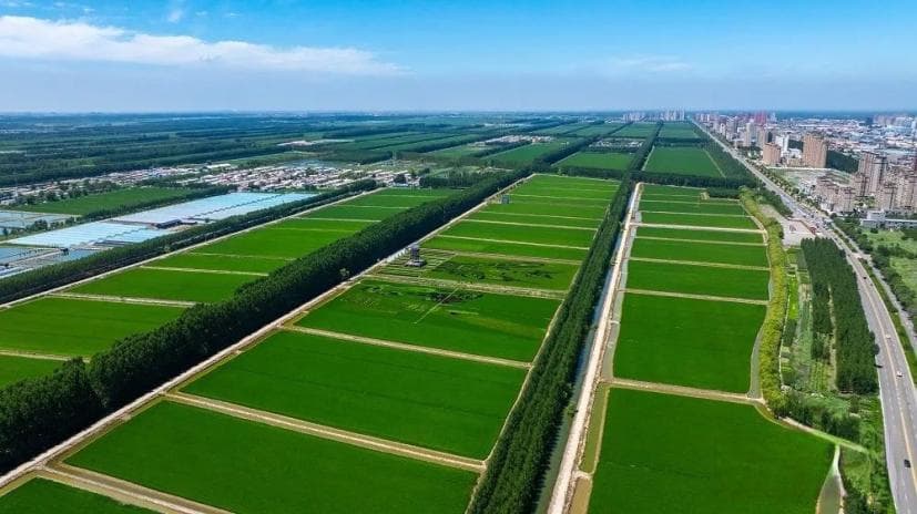 数说河北75年 | 470万吨→3810万吨！河北农业综合生产能力实现历史性跨越