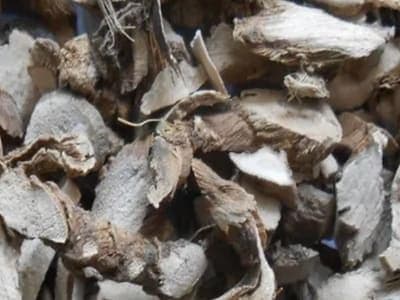 石菖蒲：传统功效与现代研究