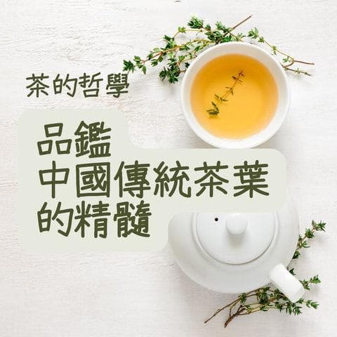 茶的哲学：品鉴中国传统茶叶的精髓