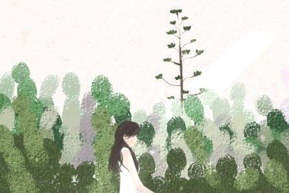 各种颜色取名：从传统文化到现代应用