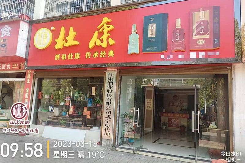 在制定区域保护政策时，如何平衡杜康酒加盟商的独家经营权和市场竞争的需求？