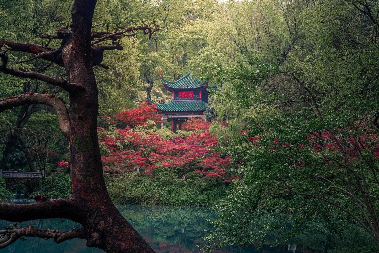 秋天的长沙岳麓山，难道不值得你登高俯瞰美景？