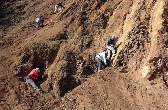 南大研究揭示二叠纪末大灭绝纬度差异：陆地生态系统崩溃延后6万年