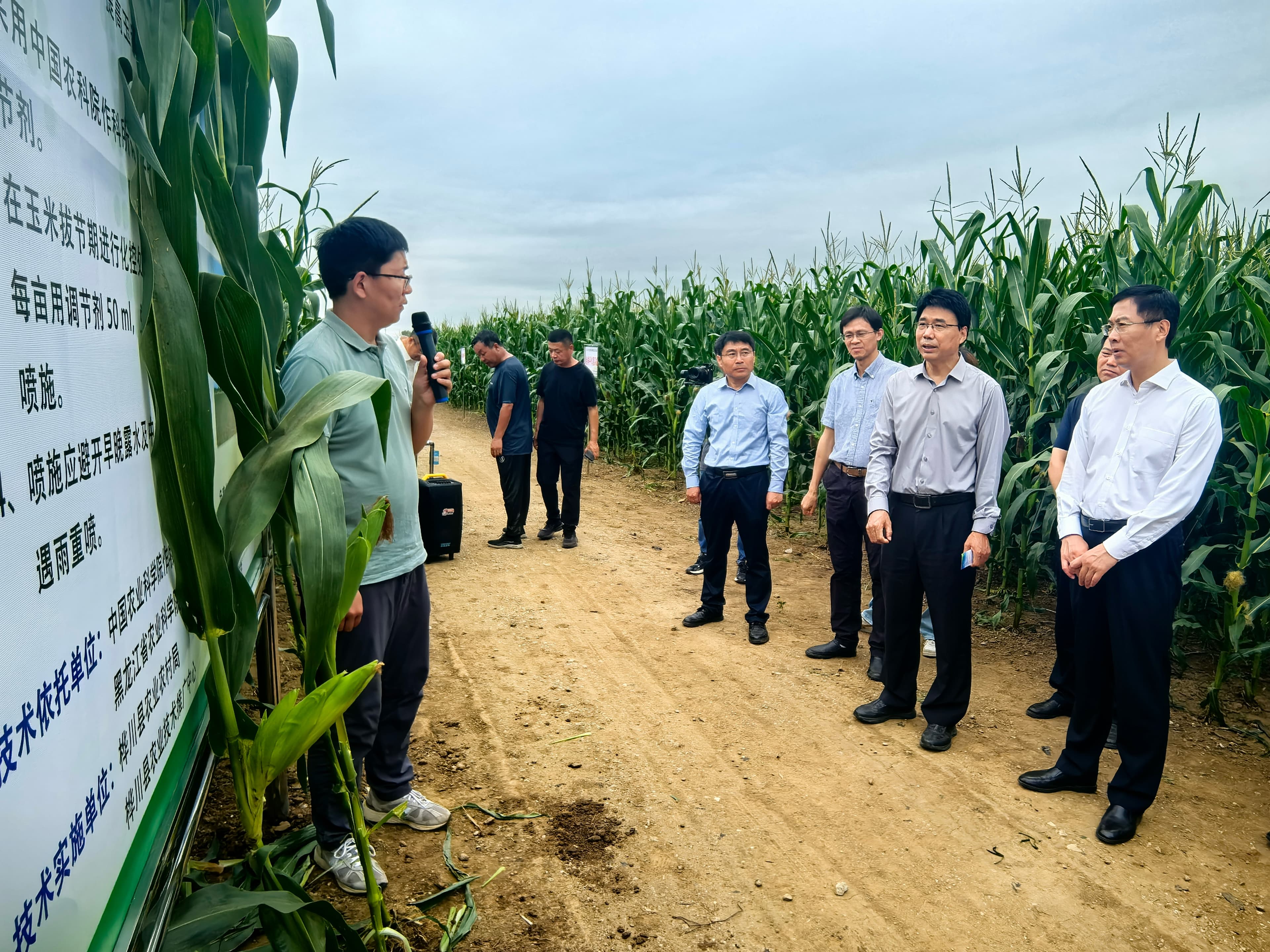 中国农科院科技帮扶桦川县：打造现代农业发展新样板