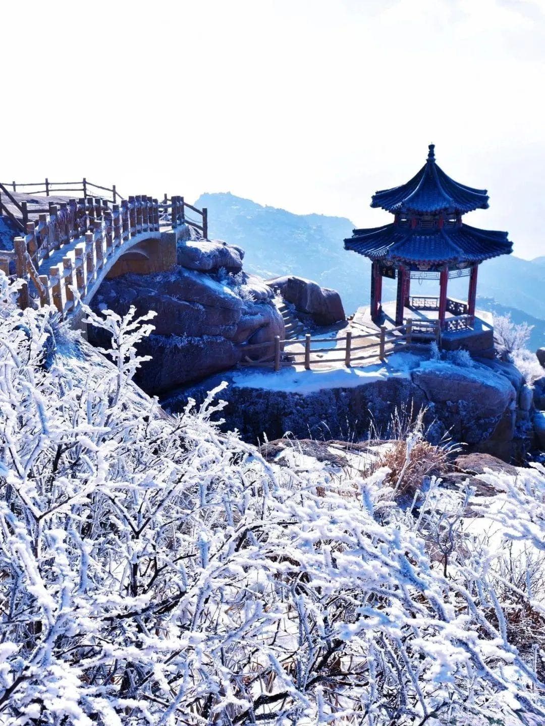 来青岛，寻一场仙里仙气的“雾凇冰雪奇缘”！