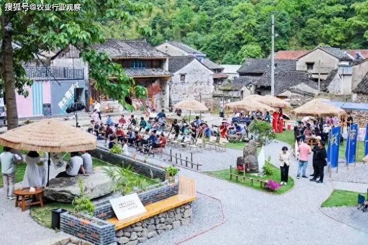 什么是庭院经济？5大发展模式，实现资源重组与创新