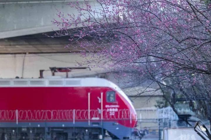 杭州这些“隐秘”角落要火！