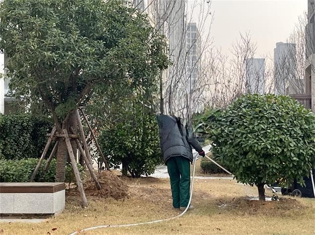 天冷了，植物要喝保温水！（浇水要点速览）