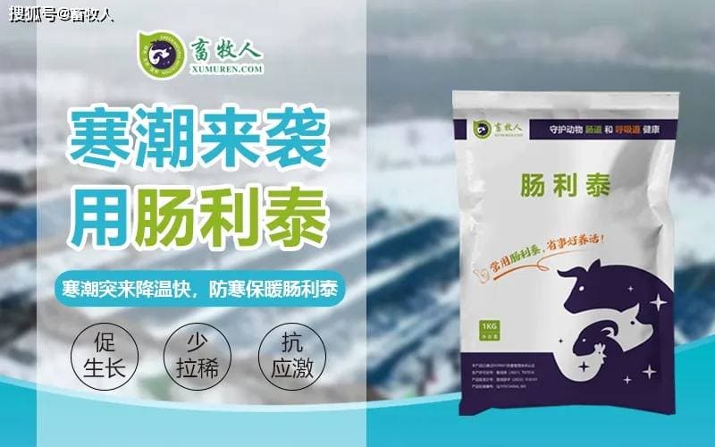 秋冬季节仔猪腹泻防治策略