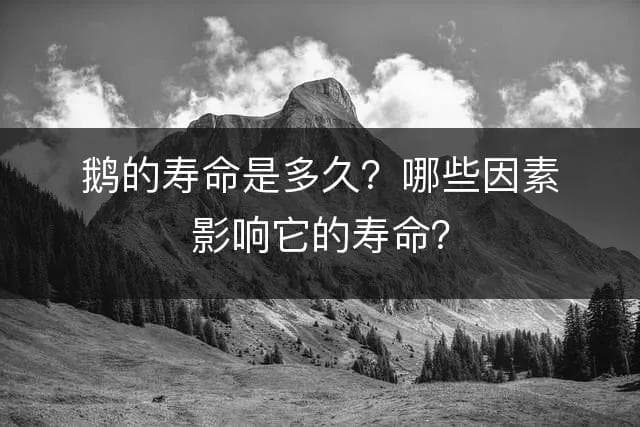 鹅的寿命是多久？哪些因素影响它的寿命？