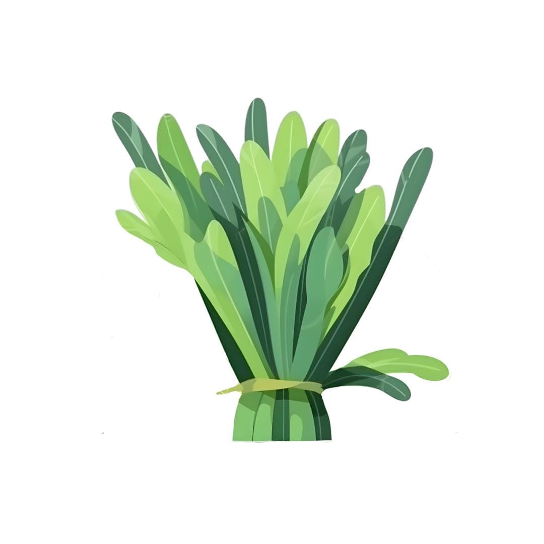 春天必吃「起阳草」！韭菜的养生秘密