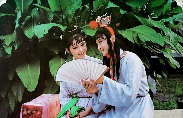 《红楼梦》里的人性善恶大揭秘