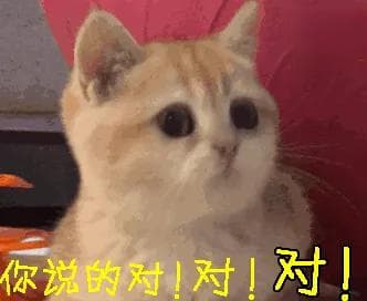 锻炼时容易被忽视的重要区域「肩袖肌群」