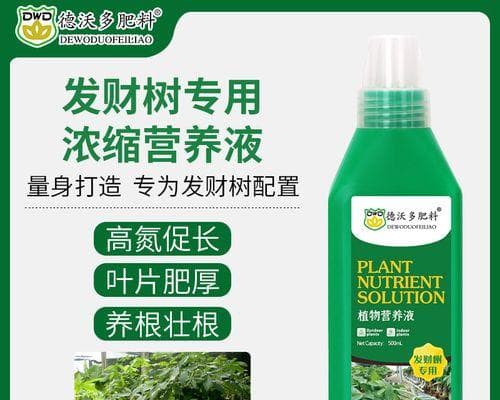 幸福树肥料施用指南：从时间到注意事项全解析