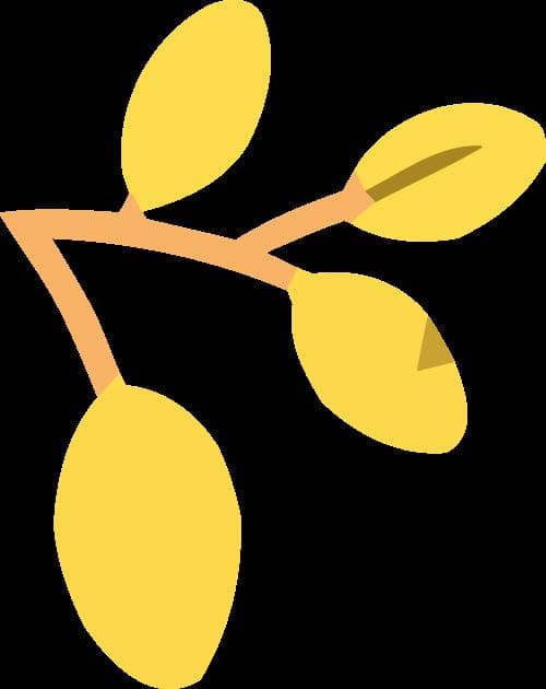 一篇文章带你了解 有机肥和化肥的优缺点