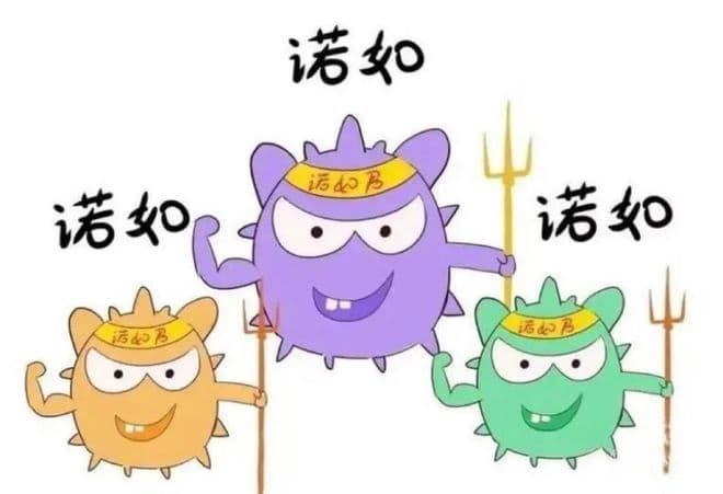 呼和浩特市疾控中心重要提醒：诺如病毒进入高发期，全人群普遍易感