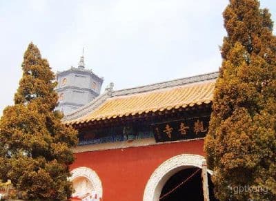 走进观音寺：一场穿越千年的文化之旅