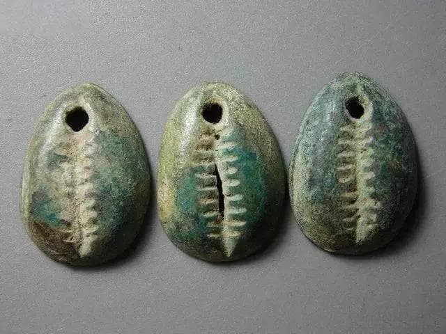 随处可见的贝壳，为何古人曾用来当作货币？