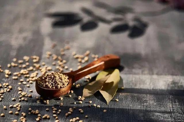 银发经济引领万亿级消费：老年功能食品市场