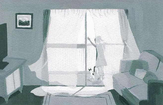 在纷扰世界中，如何辨别真心与虚伪