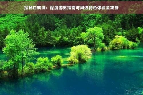 探秘白鹤滩：深度游览指南与周边特色体验全攻略