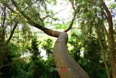 宜丰县十大旅游景点
