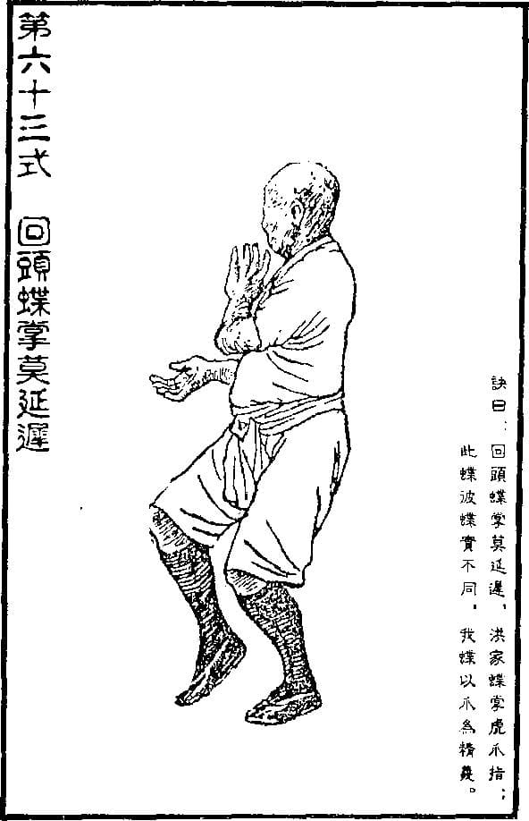 黄飞鸿嫡传工字伏虎拳：拉蕉式、回头蝶掌与黑虎槌详解