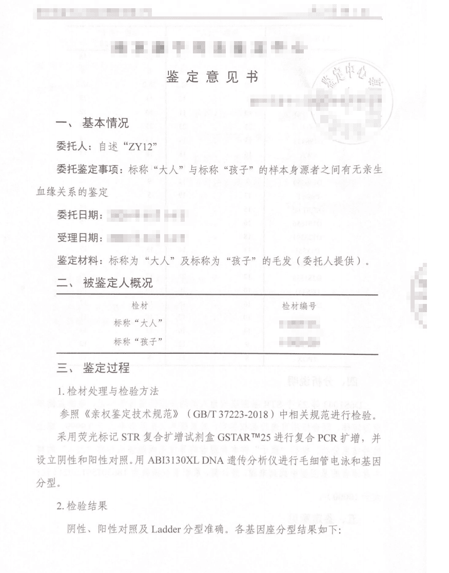 亲子鉴定报告解读：如何理解你的鉴定结果