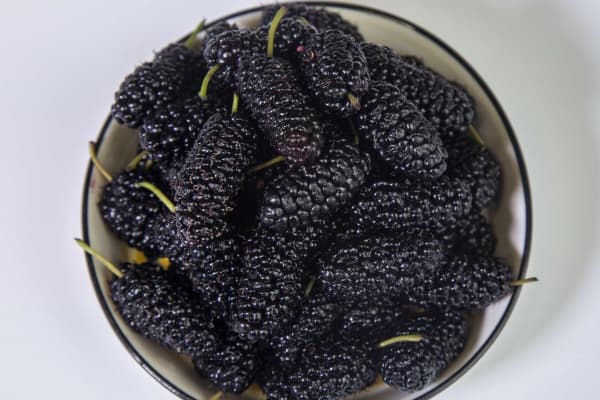 桑葚酒怎么泡