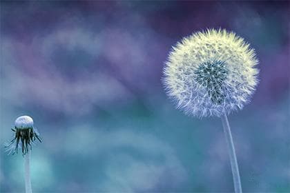 水瓶座分手原因：性格特征与感情关系解析